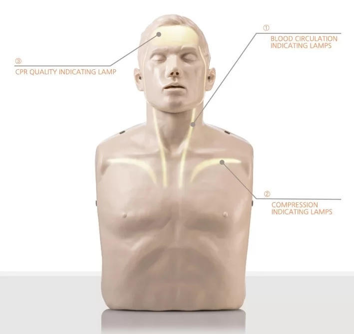 Brayden CPR Manikin